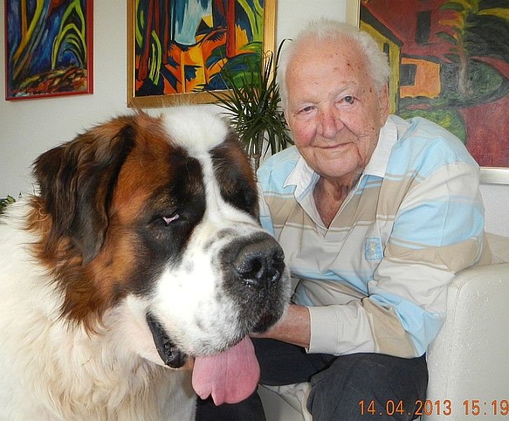 Foto von Gustl Müller-Dechent mit Bernhardiner Samson