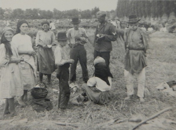Foto von Bauern bei Leinsamenernte in Oltenita